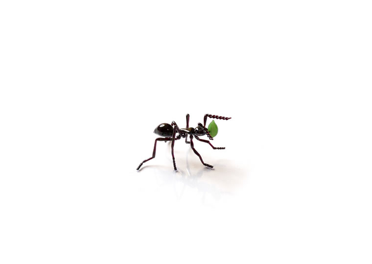 皆川禎子「昆虫：アリ」