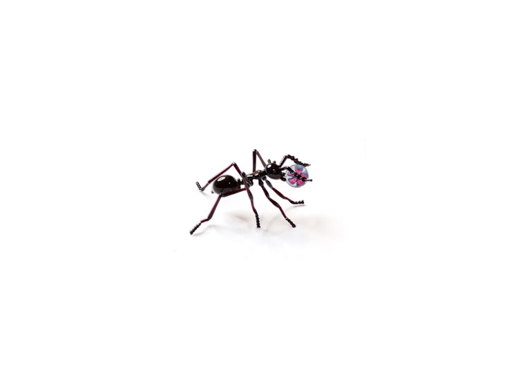 皆川禎子「昆虫：アリ」